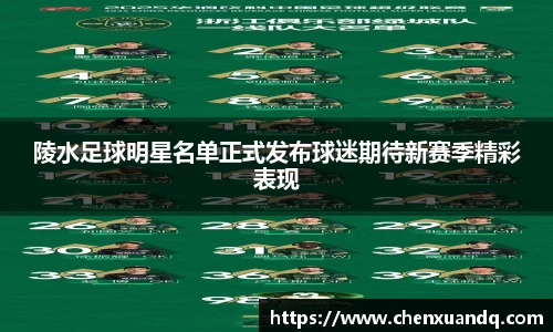 陵水足球明星名单正式发布球迷期待新赛季精彩表现
