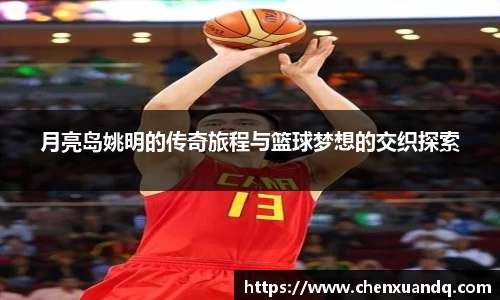 月亮岛姚明的传奇旅程与篮球梦想的交织探索