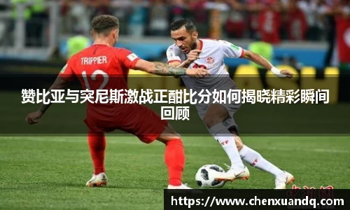 赞比亚与突尼斯激战正酣比分如何揭晓精彩瞬间回顾